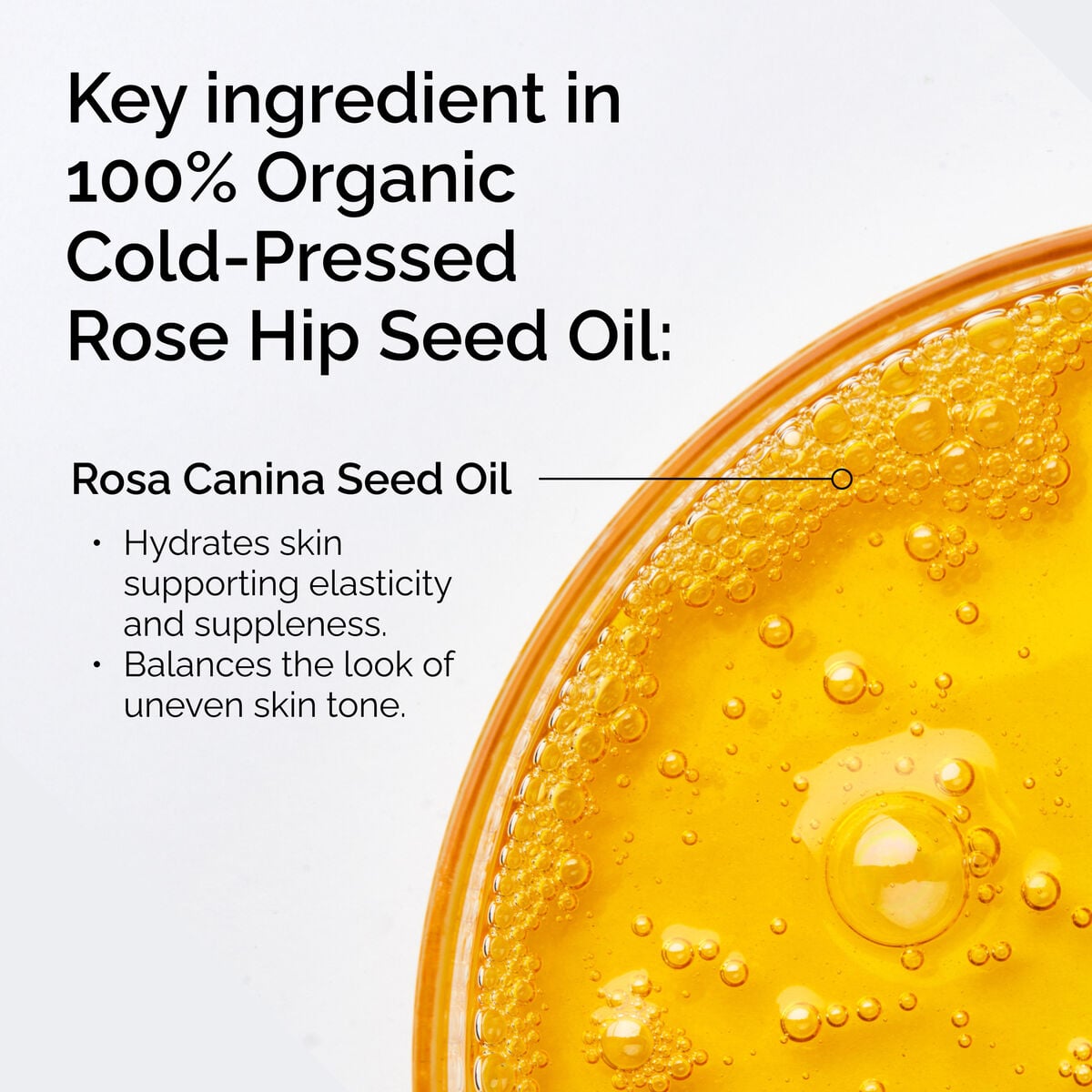 100-organic-cold-pressed-rose-hip-seed-oil-i1 FY25-D41247-ORD-Web-PDP-100-Rose-Hip-Oil-1x1-EN-2.jpg