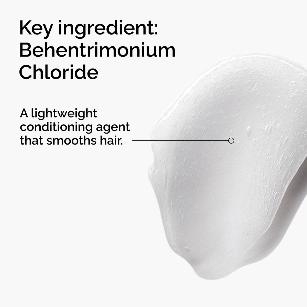 behentrimonium-chloride-2-conditioner-z1 FY25-D41247-ORD-Web-PDP-BTC-1x1-EN-2a.jpg
