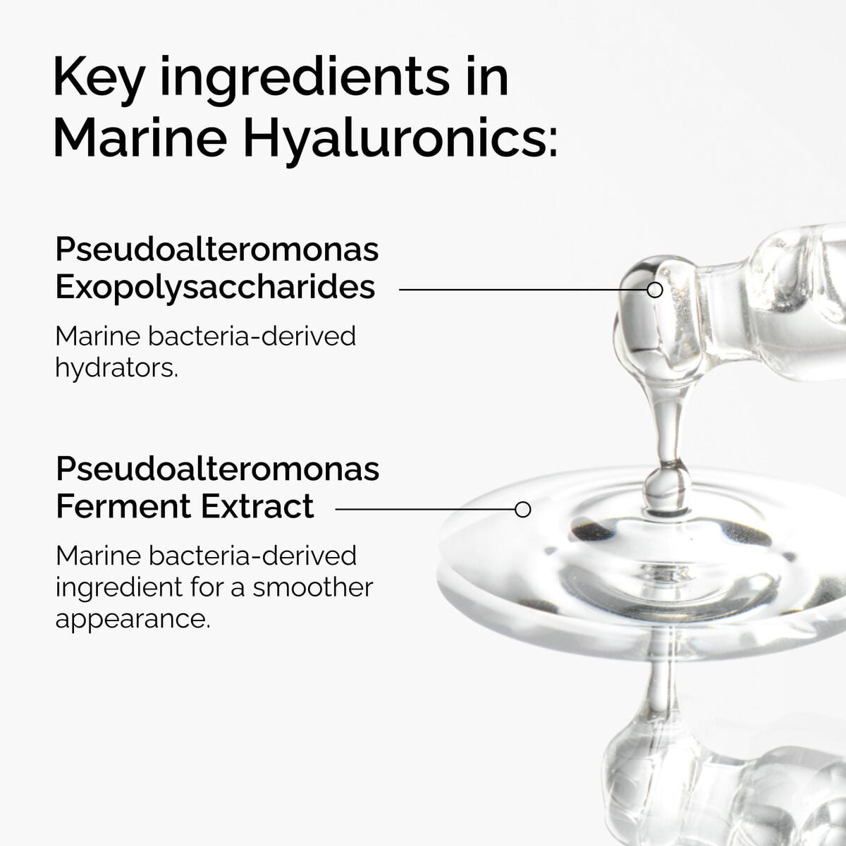 marine-hyaluronics-j9 FY25-D41247-ORD-Web-PDP-Marine-Hya-1x1-EN-2a.jpg
