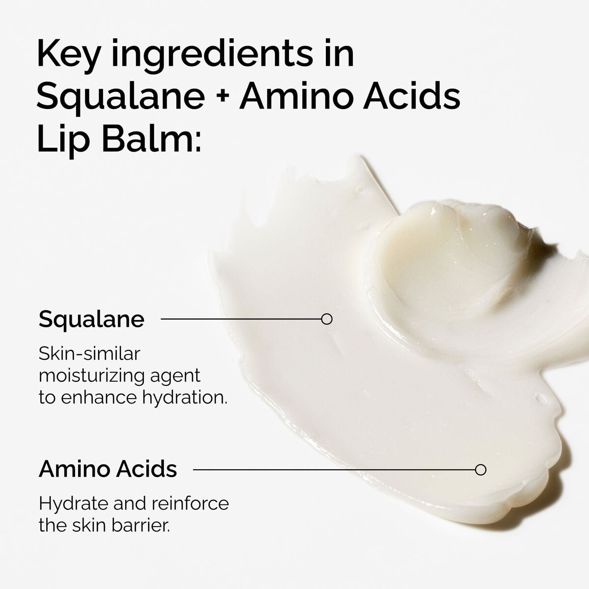 squalane-amino-acids-lip-balm-c1 FY25-D41247-ORD-Web-PDP-Sql-Amino-Lip-1x1-EN-2a.jpg