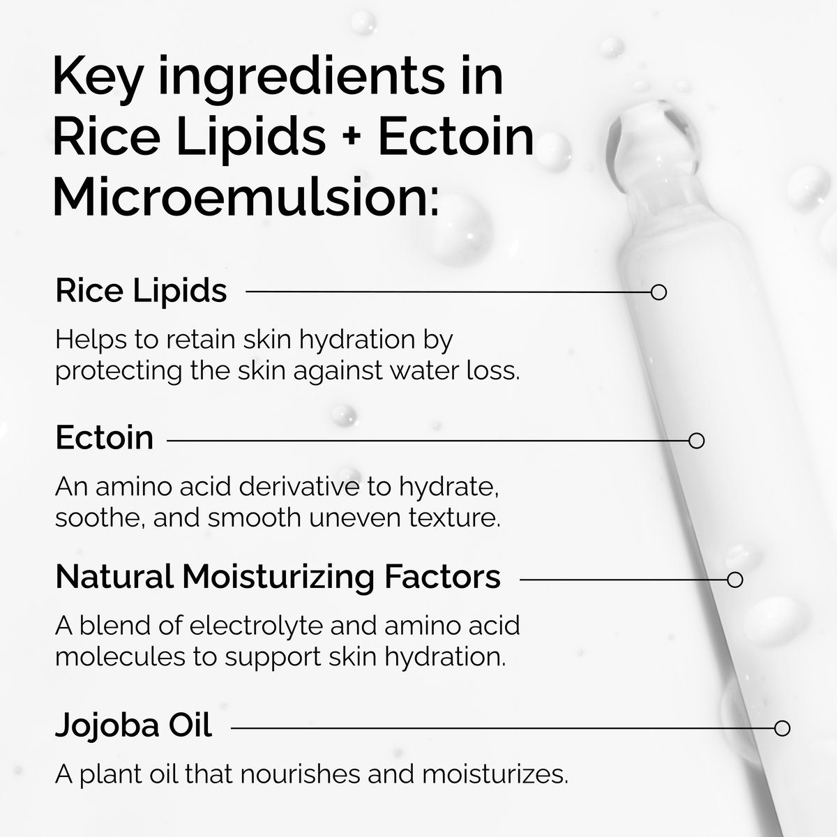 rice-lipids-ectoin-microemulsion-x5 ord-rice-lipids-ectoin-microemulsion-key-ingredients.png