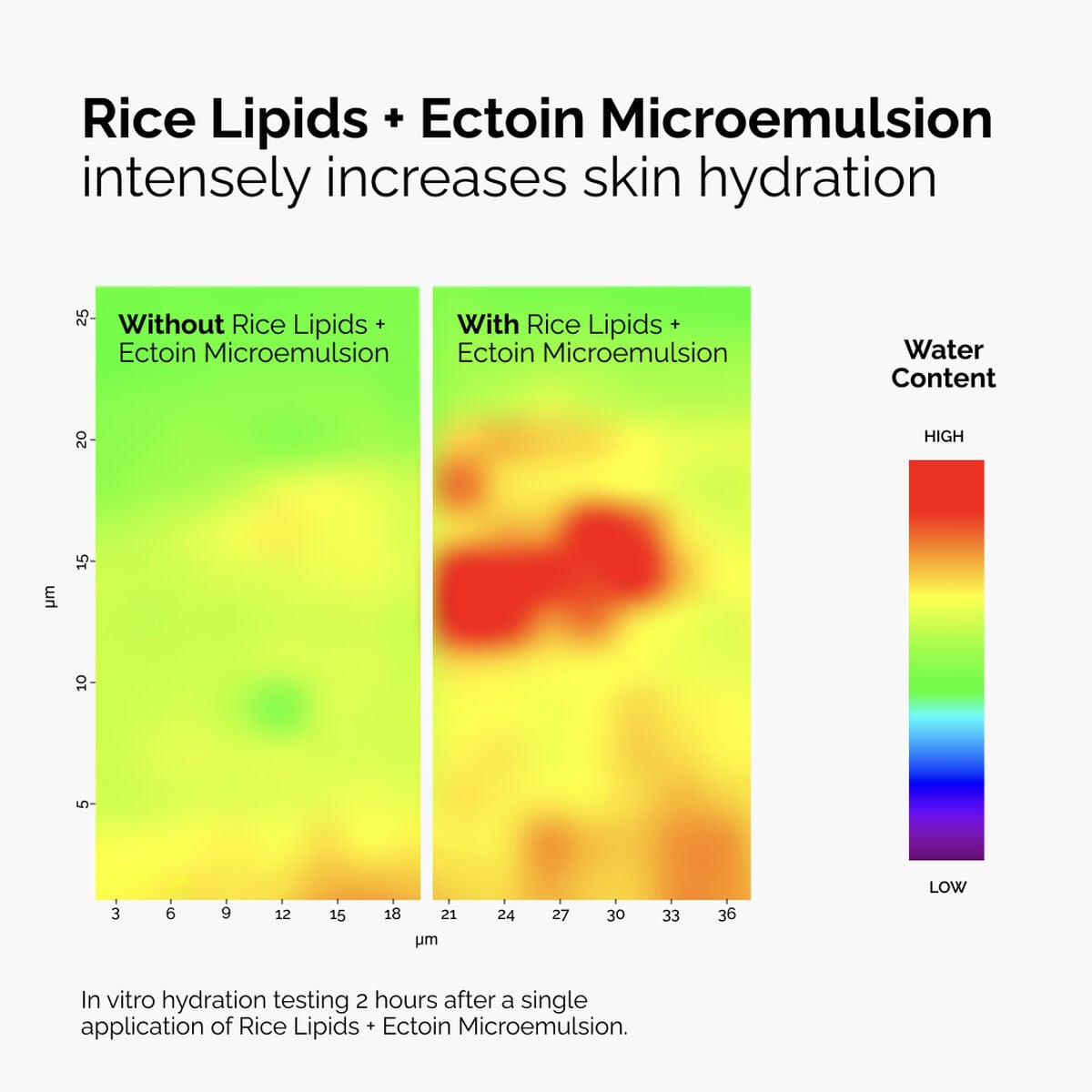 rice-lipids-ectoin-microemulsion-x5 ord-rice-lipids-ectoin-microemulsion-thermal-before-after.jpg
